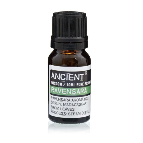 Aceite esencial de Ravintsara o Ravensara 10ml